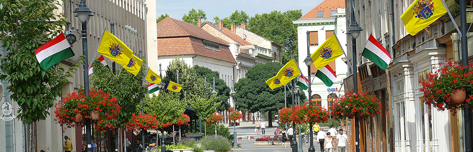 Villanyoszlop zászlók